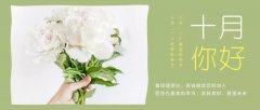 合作經(jīng)營(yíng)，共負(fù)盈虧，原您在最美的季節(jié)，收獲美好，展望未來(lái)